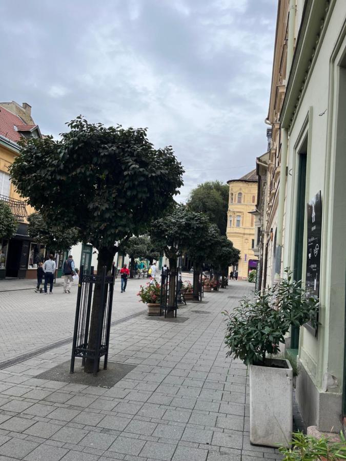 Wiener Garden Győr Buitenkant foto